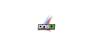 DNS13